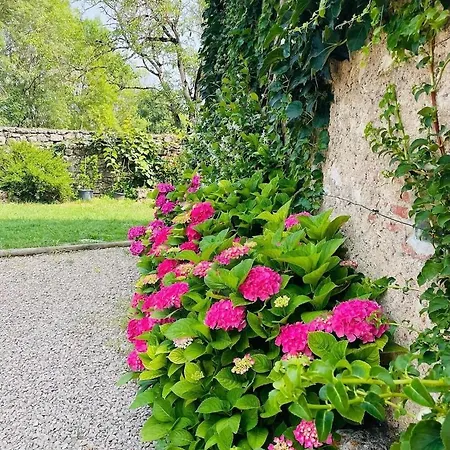 Bed & Breakfast L'oree Du Ciel Mouzieys-Panens